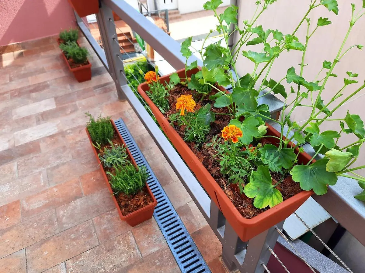 Studio Apartment Margarita Opatija Croatia